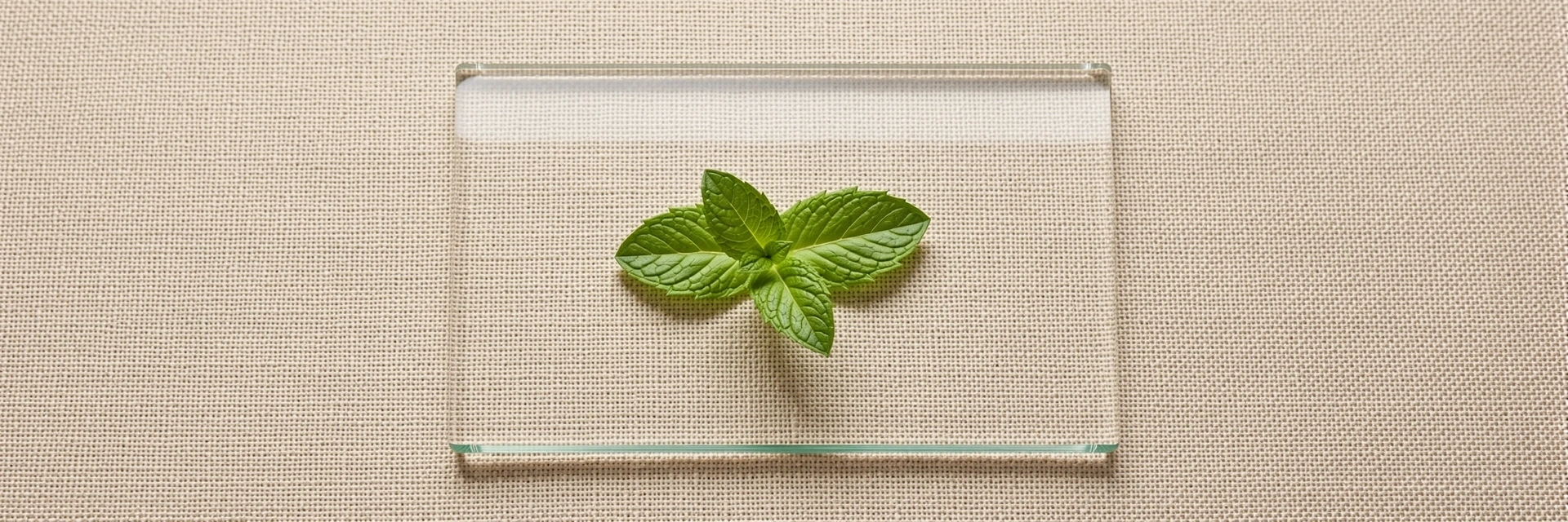 Symbol für Datensicherheit und Klarheit